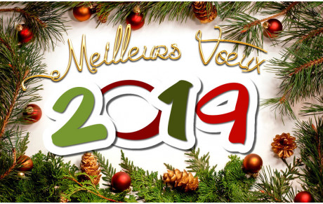 Voeux 2019