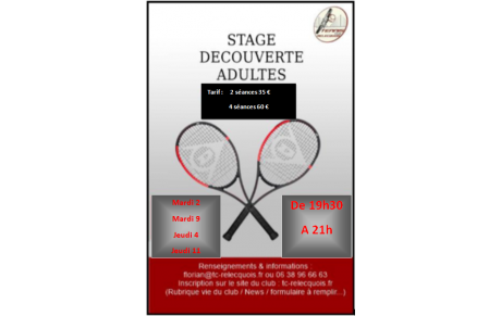 Stage découverte 